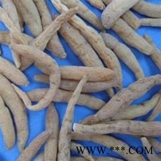 太子参 无硫太子参大统 0.4筛以上 产地 贵州省图2