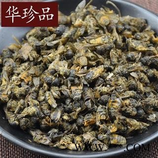 虻虫 01 虻虫 小号 产地 内蒙古自治区图3