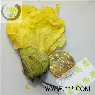 四海商联 黄蜀葵花 正品 侧金盏花 批发 京蜀葵 黄秋葵图2