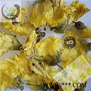 四海商联 黄蜀葵花 正品 侧金盏花 批发 京蜀葵 黄秋葵