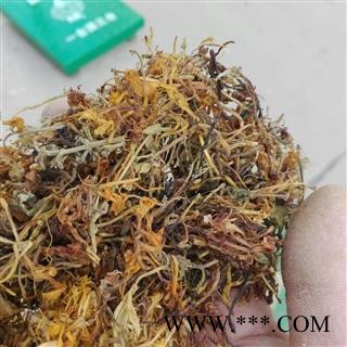 （包邮）特级云南野生金银花