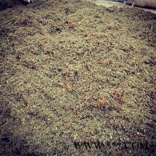 （包邮）特级云南野生金银花图3