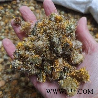 京辉药业 旋复花 正品 干净无杂图1