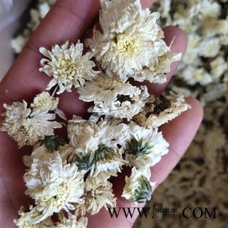 贡菊花 贡菊新货颜色好   茶用 产地 安徽省芜湖市图3