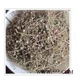 谷精草 谷精草统段 产地 江苏省南京市市辖区图2