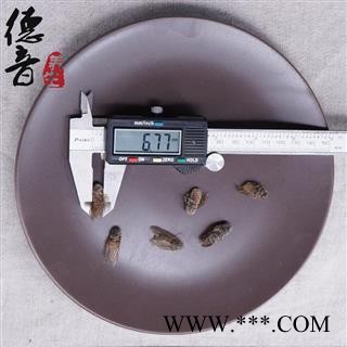 【满包邮】虻虫 统 产地 陕西省 中药材批发 规格齐全图2