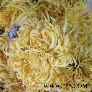 诺源药材行中药材菊花 优质花茶金丝黄菊 另有各种盒装 袋装图2