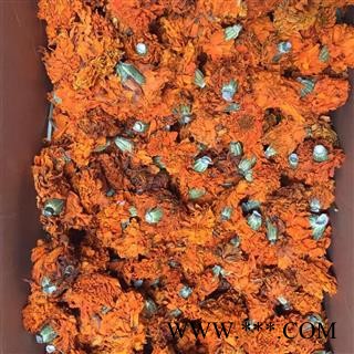 诺源中药材优质万寿菊  黄花干花图2