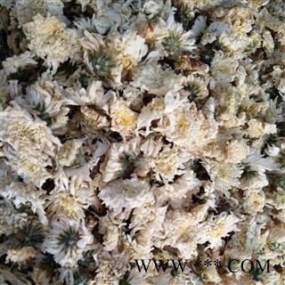 新辉药业优质杭菊 精选花茶图1