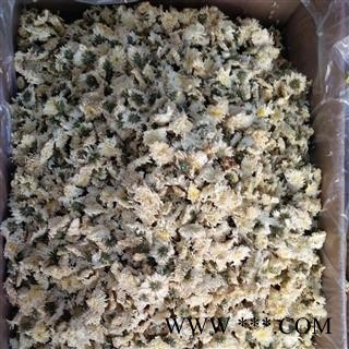 新辉药业优质杭菊 精选花茶图2