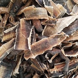 大地龙 广地龙半开片 产地 广西壮族自治区图4