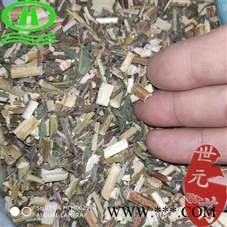 世元药业 返魂草 翡翠菊 青菀 紫倩 山白菜 驴夹板菜 驴耳朵菜 紫苑 紫菀小辫图2