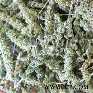 《满198包邮》荆芥穗 荆芥穗统货 产地 河北省图2