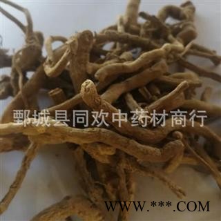 【青木香】@【同欢药材】中药材批发供应 规格齐全 量大从优 产地 四川省图3