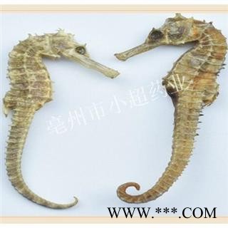 海马 06海马 统  5-6克 产地 安徽省图2