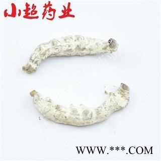 僵蚕 03 僵蚕 统 产地 广东省图2