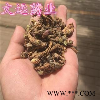 款冬花 冬花  净货 产地 甘肃省图3