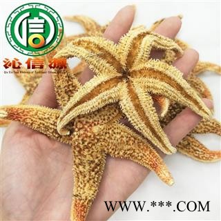 【满包邮】海星个子统货散装广东产地直供海五星沁信源中药批发图3