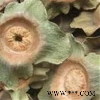 柿蒂 柿蒂 选,柿楴 柿子盖 产地 河南省南阳市宛城区图2