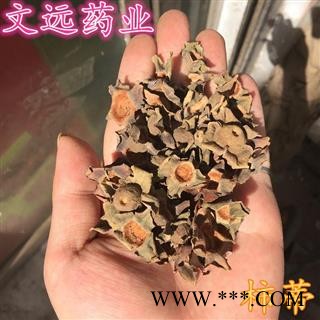 柿蒂 柿蒂 选,柿楴 柿子盖 产地 河南省南阳市宛城区图3