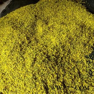 野菊花 野菊花统货 产地 河南省南阳市