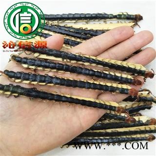 【满包邮】蜈蚣中条平均13~14cm/条货散装湖北产地直供沁信源中药批发图3
