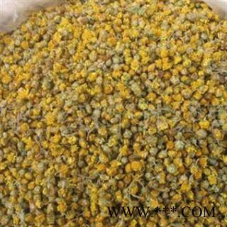 灵吉药业  野菊花    批发各类规格中药材 花茶 矿石图2