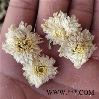 贡菊花 无硫 菊花   产地 安徽黄山图2