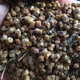 新辉药业中药材野菊花 产地安徽图2