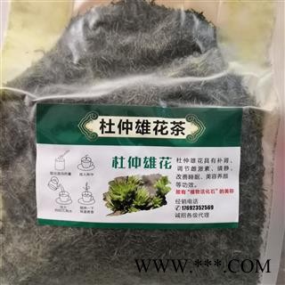 新辉药业杜仲花  杜仲雄花图2