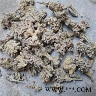 密蒙花 统 产地 安徽省巢湖市和县图2