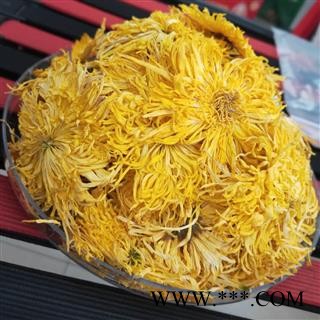 菊花 金丝皇菊 一杯一大朵 味道好 色泽佳图4