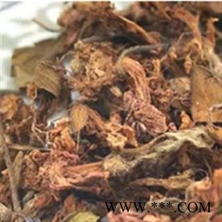 杜鹃花 黄杜鹃花 药用 统 产地 湖北省荆门市市辖区图3