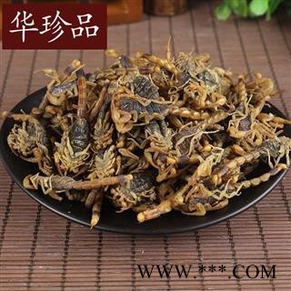 小超中药材超市 全蝎 08 宁夏小全蝎 统货 产地 河南省图3