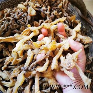 黄精 选条 产地 陕西省商洛市市辖区图2