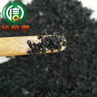 【满包邮】黑蚂蚁小个统货散装广西产地直供拟黑多刺蚁 小黑蚂蚁 小蚂蚁沁信源中药批发图2