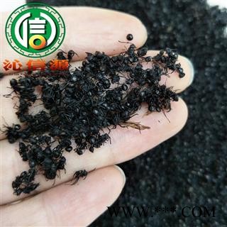 【满包邮】黑蚂蚁小个统货散装广西产地直供拟黑多刺蚁 小黑蚂蚁 小蚂蚁沁信源中药批发图3