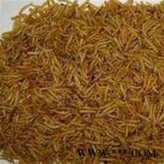 小丽百草行五谷虫 无谷虫 蛆 蝇蛆干 水仙子图2