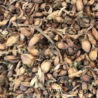 佛手花 佛手花统货 佛柑花 正品  新货 产地 广西壮族自治区 买好药找娟子图4