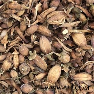 佛手花 佛手花统货 佛柑花 正品  新货 产地 广西壮族自治区 买好药找娟子图2