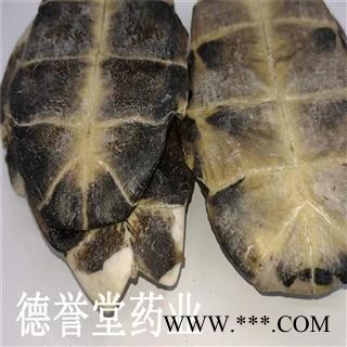 德誉堂药业 龟板 选 龟板 旱龟板 产地 湖北图4