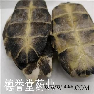 德誉堂药业 龟板 选 龟板 旱龟板 产地 湖北图2