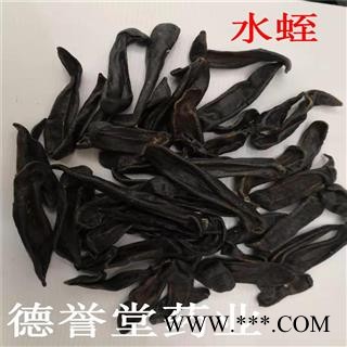 水蛭 大水蛭 清水大水蛭 质量好 德誉堂批发各种中药材图3