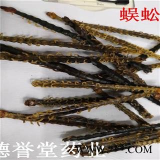 蜈蚣 选 蜈蚣皮 蜈蚣条 不带竹签 德誉堂批发各种中药材图3