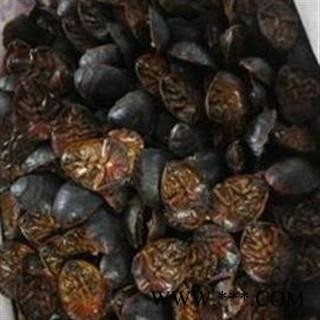 土元 土鳖虫水洗腹空大选货 地道过筛 大个土元 产地 山东省图2