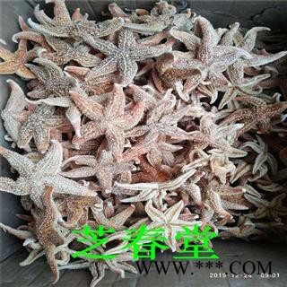 海星 干男士泡酒料 中药材深海五指海星 多棘海盘车装饰品规格全图3