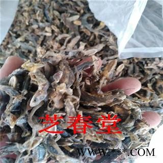 芝春堂 中药材批发 干壁虎 天龙 守宫 各种规格  代加工细粉图3