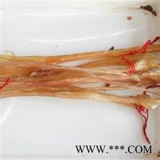 德誉堂药业牛筋  干牛筋 批发零售各种中药材图2