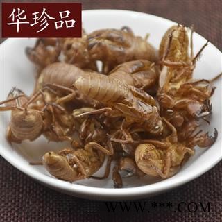 蝉蜕 02 蝉蜕 水洗四次 产地 河北省秦皇岛市北戴河区图2