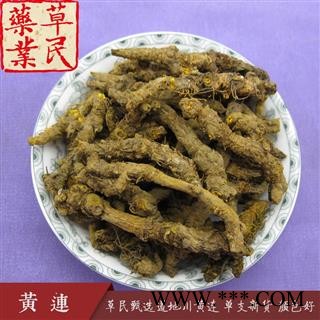 草民甄选雅连 道地川黄连 单支连新货 颜色好 专业批发量大从优图2